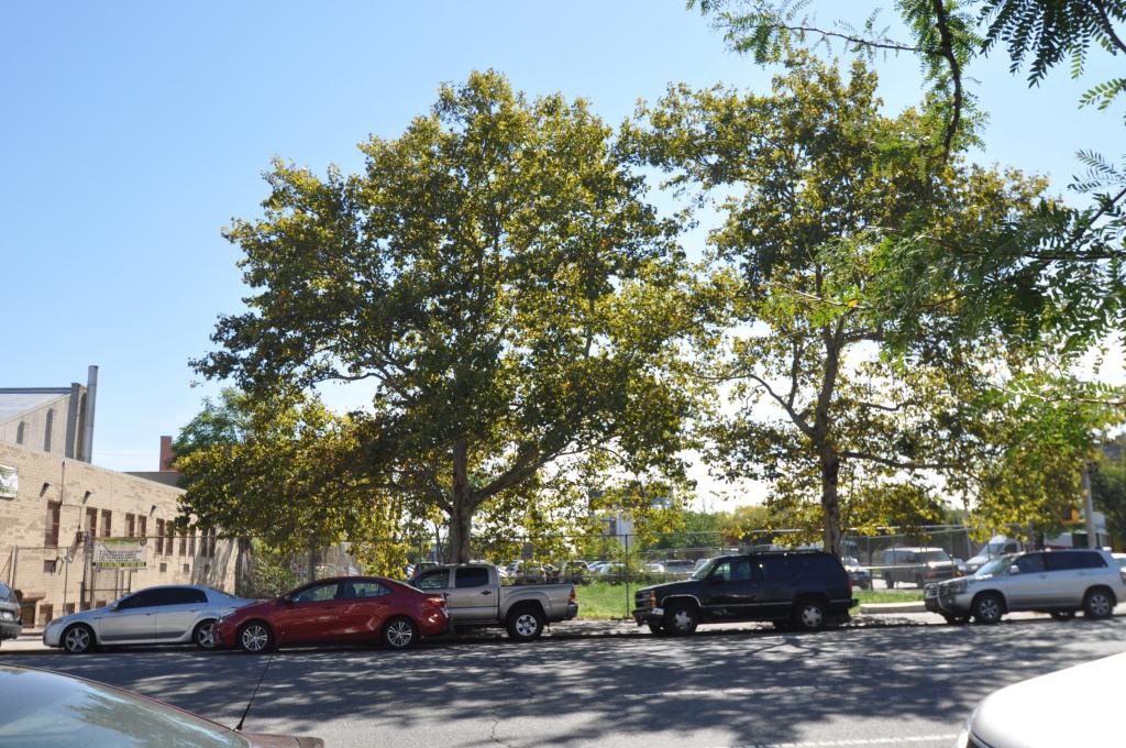 Hospital Consortium Closes on $14M East Harlem Site for Cancer Treatment Center 